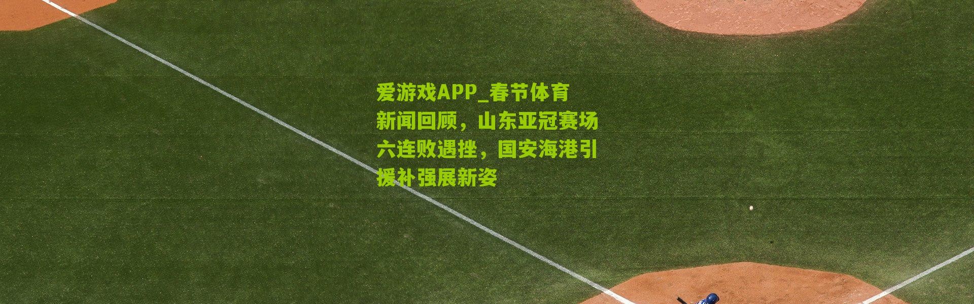 爱游戏APP_春节体育新闻回顾，山东亚冠赛场六连败遇挫，国安海港引援补强展新姿
