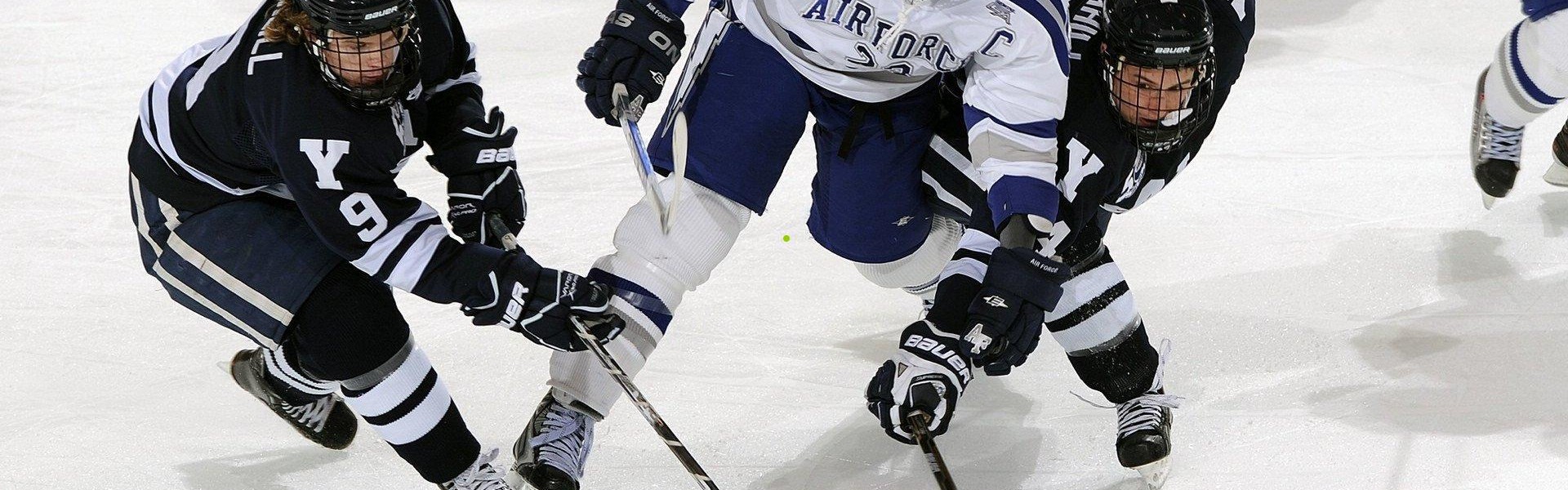 aiyouxi_野龟哥与海掌门再度联手 北美赛区最强之争即将揭晓