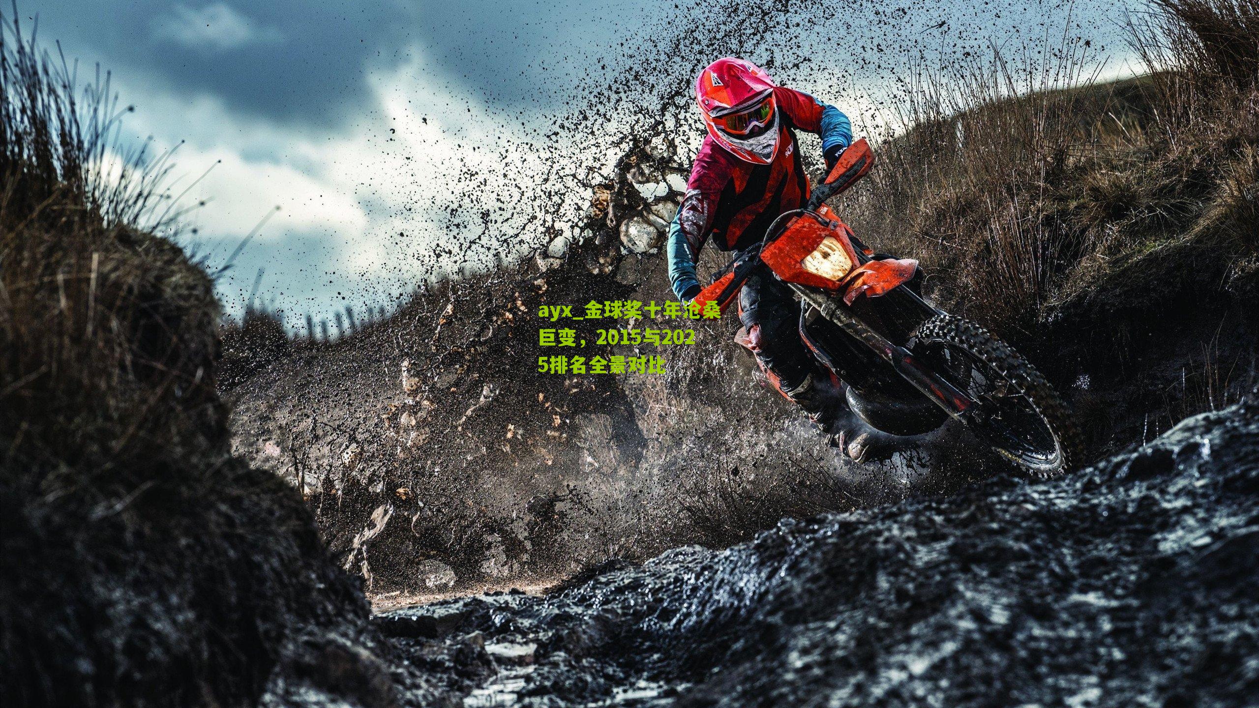 金球奖十年沧桑巨变，2015与2025排名全景对比